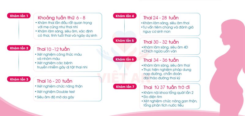 Lịch khám thai định kỳ